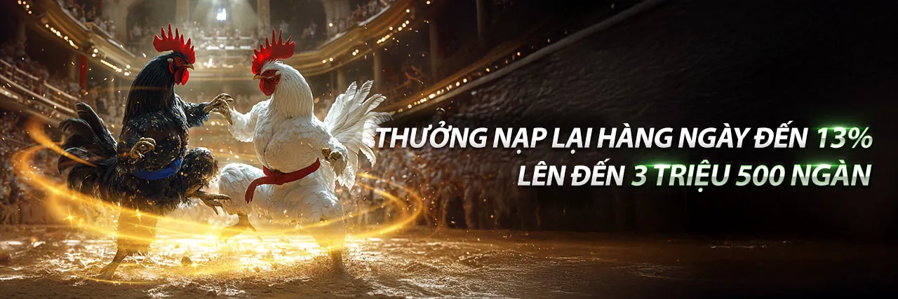 Hình ảnh chính về đá gà trực tuyến sôi động tại 123b web