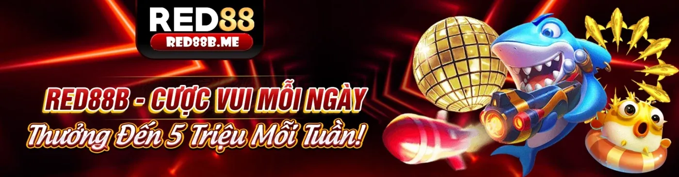 Liên hệ 123b web để được hỗ trợ 24/7